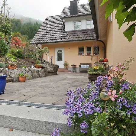 Appartement Cozy With Balcony In Oberwolfach